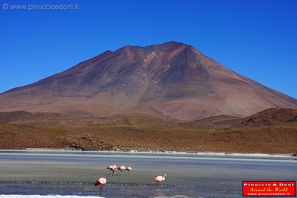 BOLIVIA 2 - Ruta de Las Joyas - Laguna Hedionda - Flamencos - 13.jpg